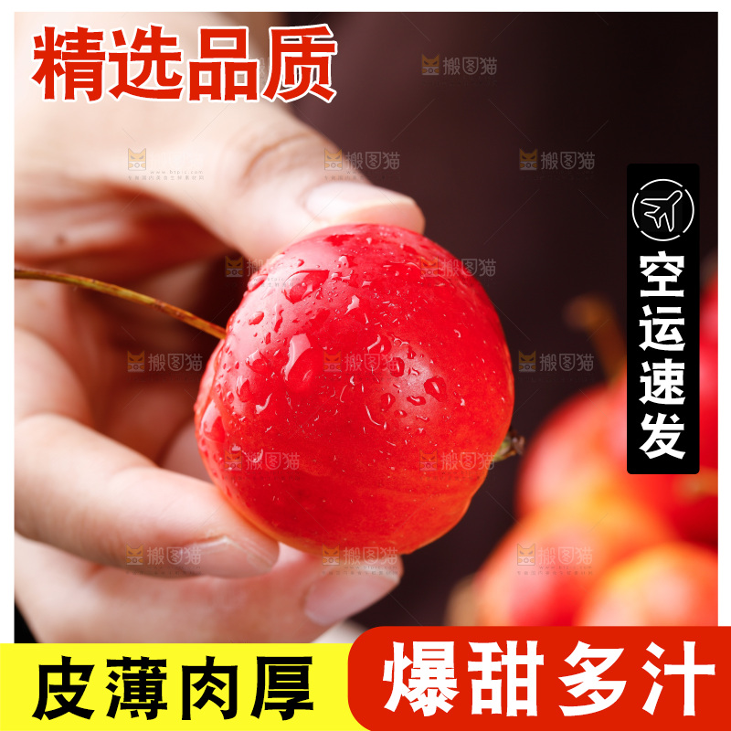 手上拿着东北海棠果