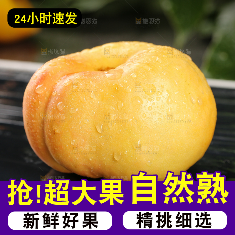 深底上的黄金油蟠桃