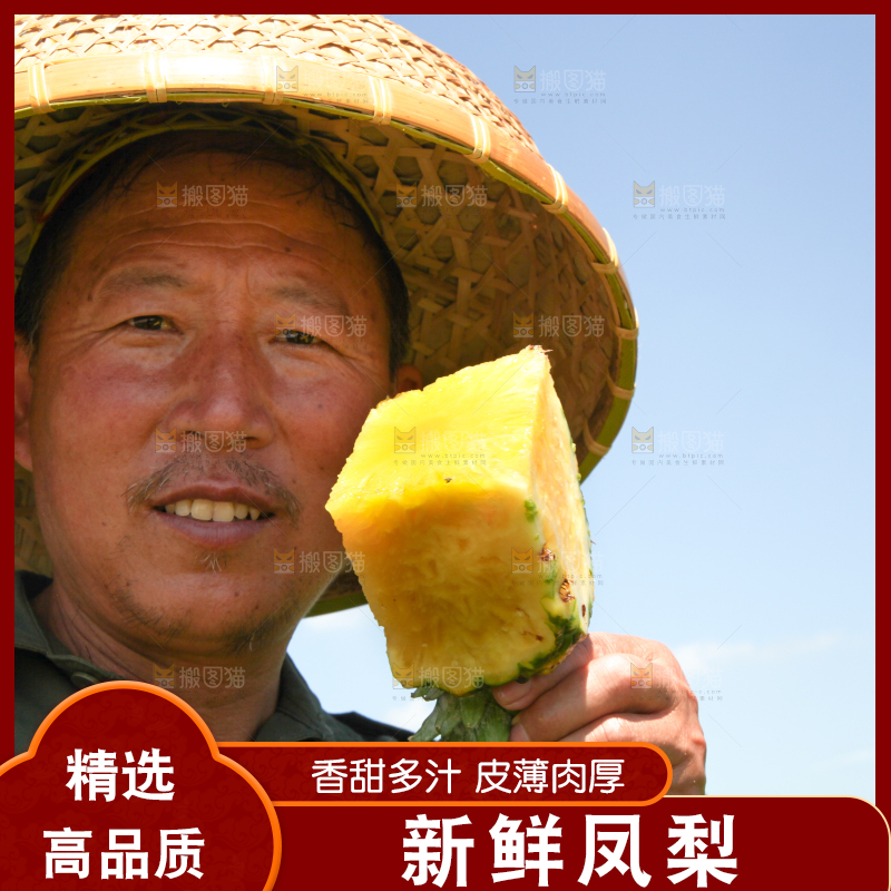 农民手上拿着削皮的凤梨