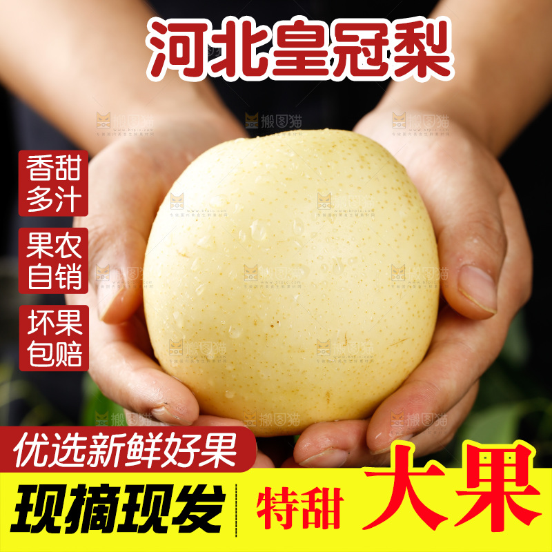 手里捧着新鲜皇冠梨