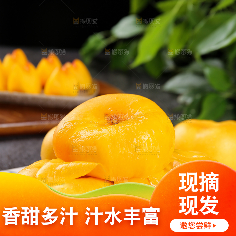 白石板上的黄蟠桃
