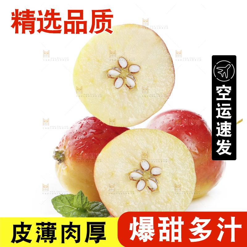 白底上的鸡心海棠果