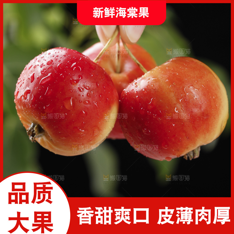 手上拿着新鲜海棠果