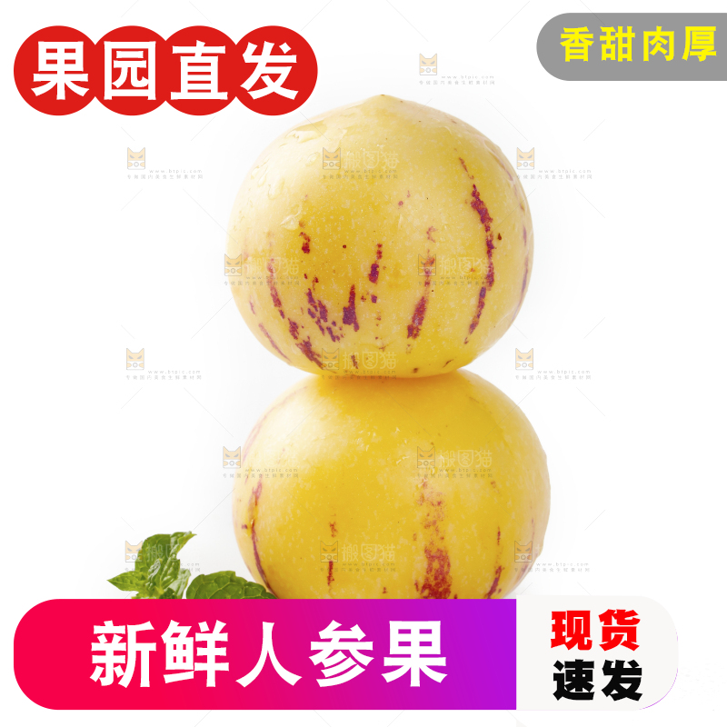 白底上的人参果