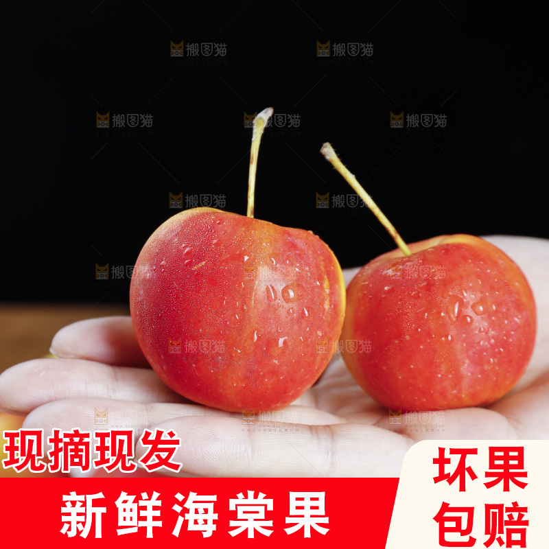 手上放着新鲜海棠果