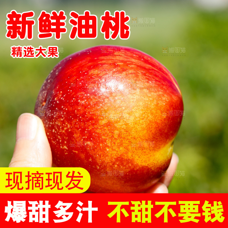 手里拿着黄肉油桃