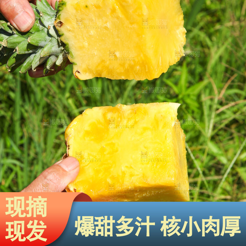 手上拿着削皮的凤梨