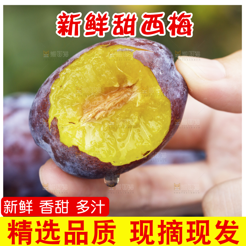 手上拿着新鲜西梅果肉