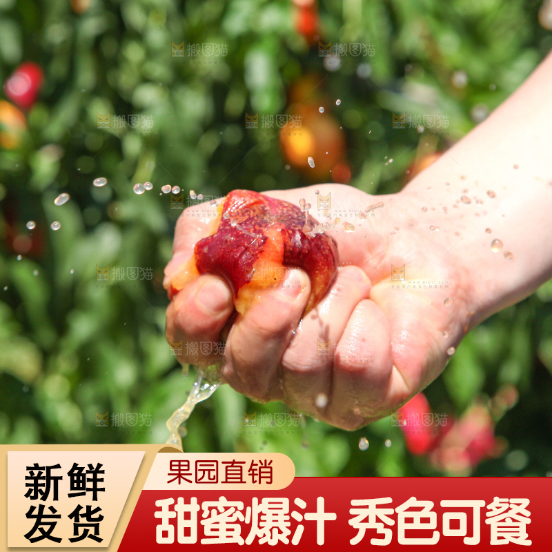 手里爆汁的油桃