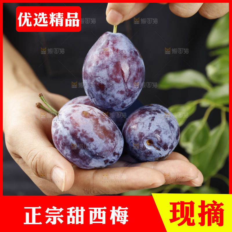 手里拿着新鲜大西梅