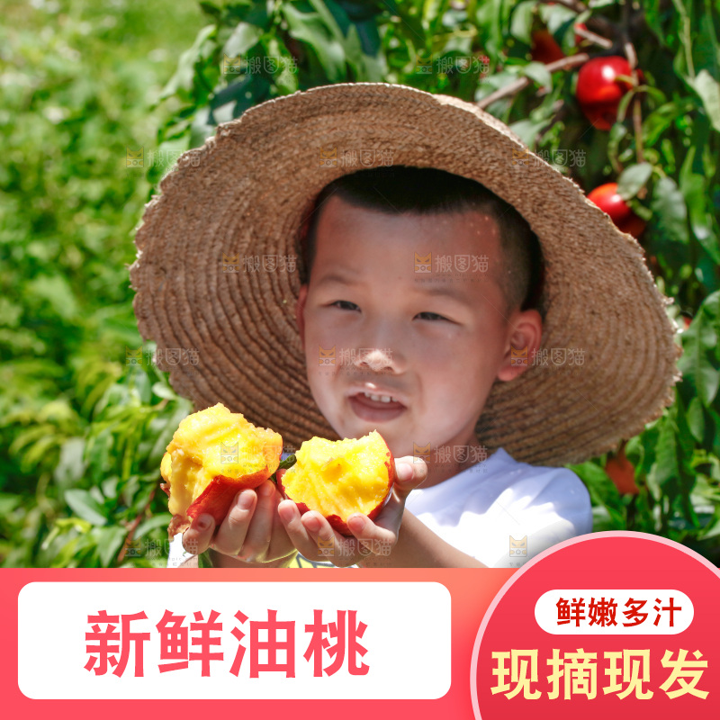 小孩手里咬开的油桃