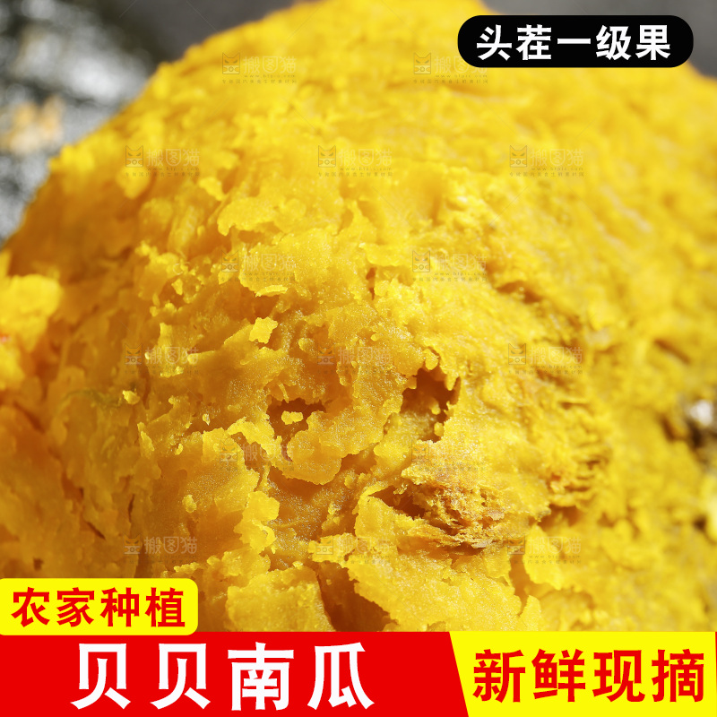 贝贝南瓜纹理