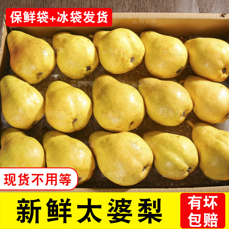 箱子里的烟台太婆梨