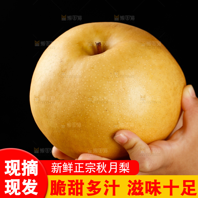 手里拿着秋月梨
