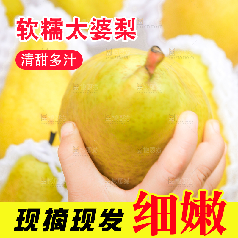 手里拿着烟台太婆梨