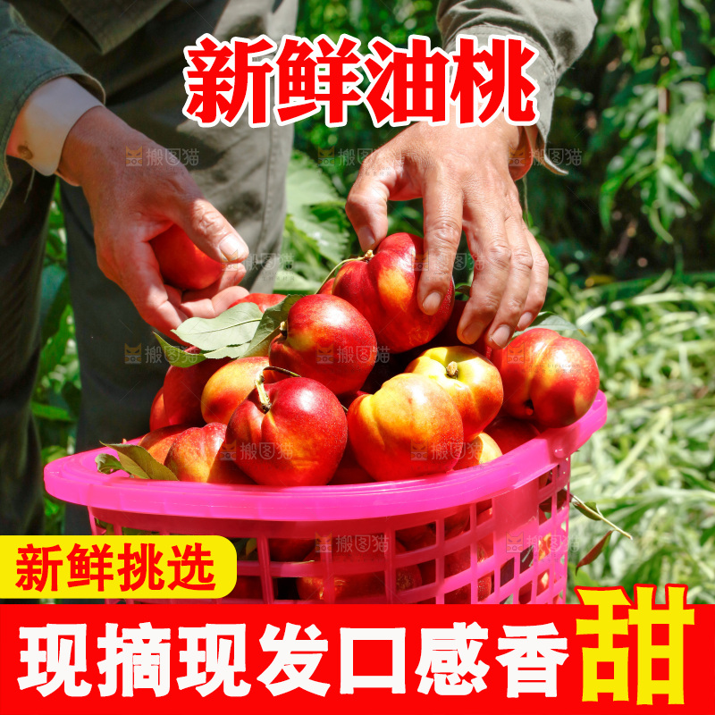 篮子里的新鲜油桃