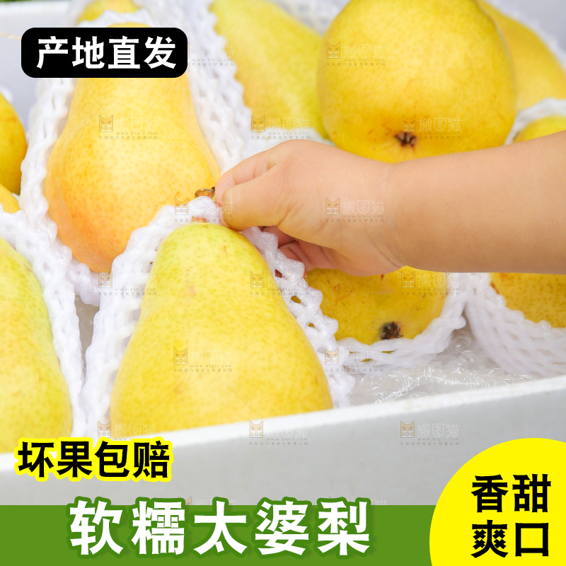 手拿着箱子里的太婆梨