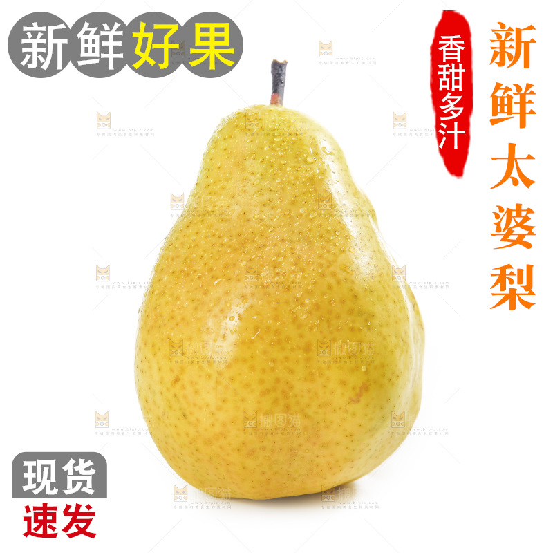 白底上的烟台太婆梨