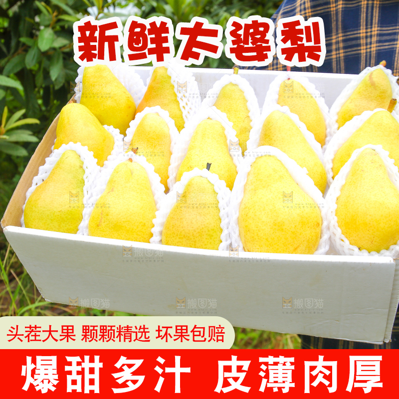 手里拿着一箱烟台太婆梨
