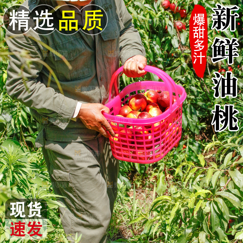 农民提着一篮油桃