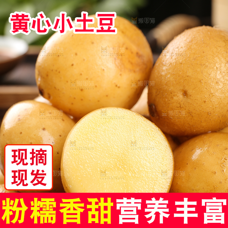 堆放着的黄心小土豆