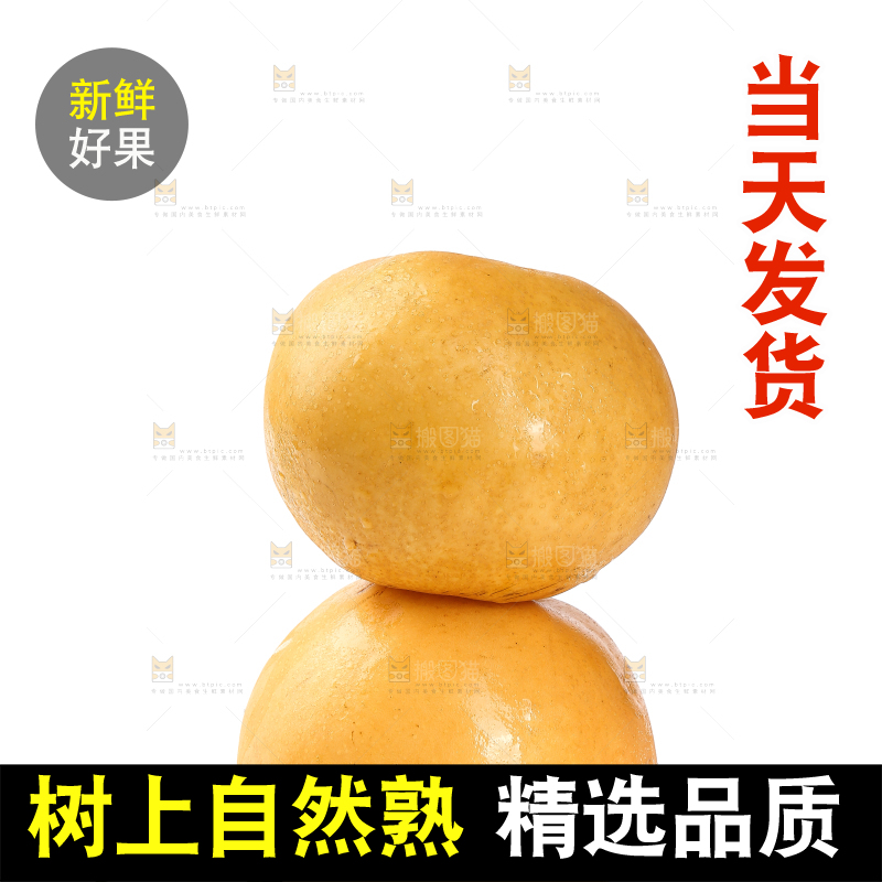 白底上摆放着秋月梨