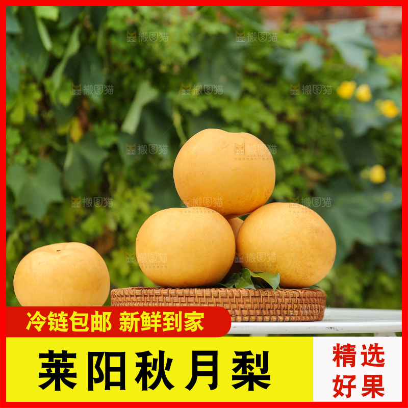 桌子上放着一篮秋月梨