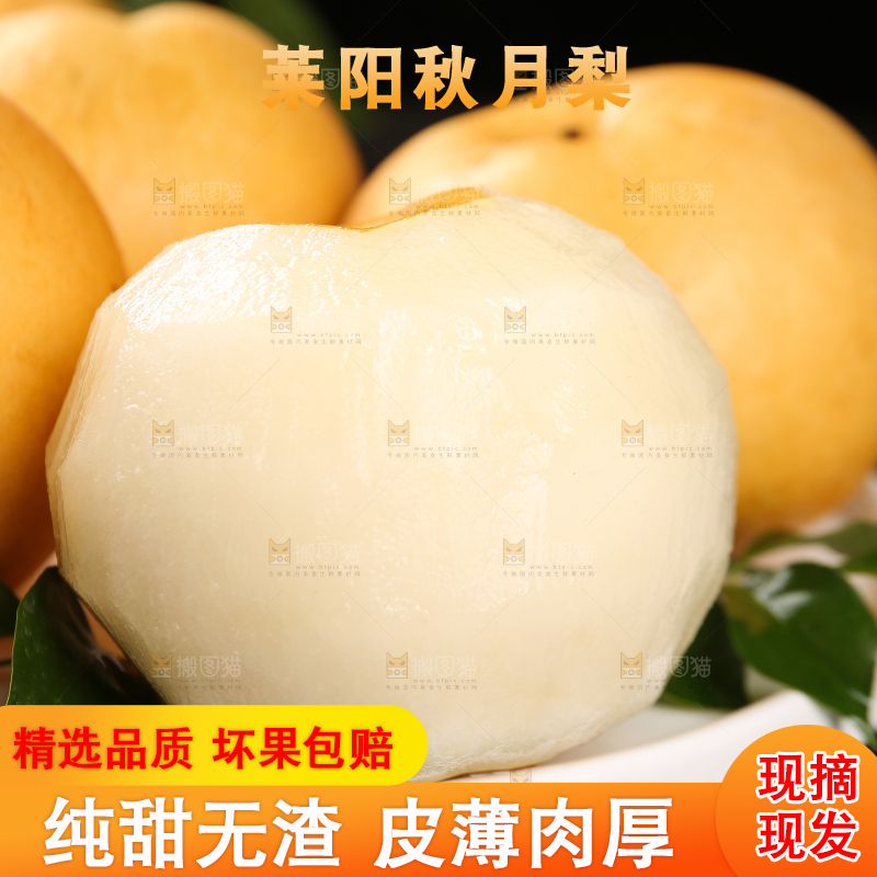 盘子里的莱阳秋月梨