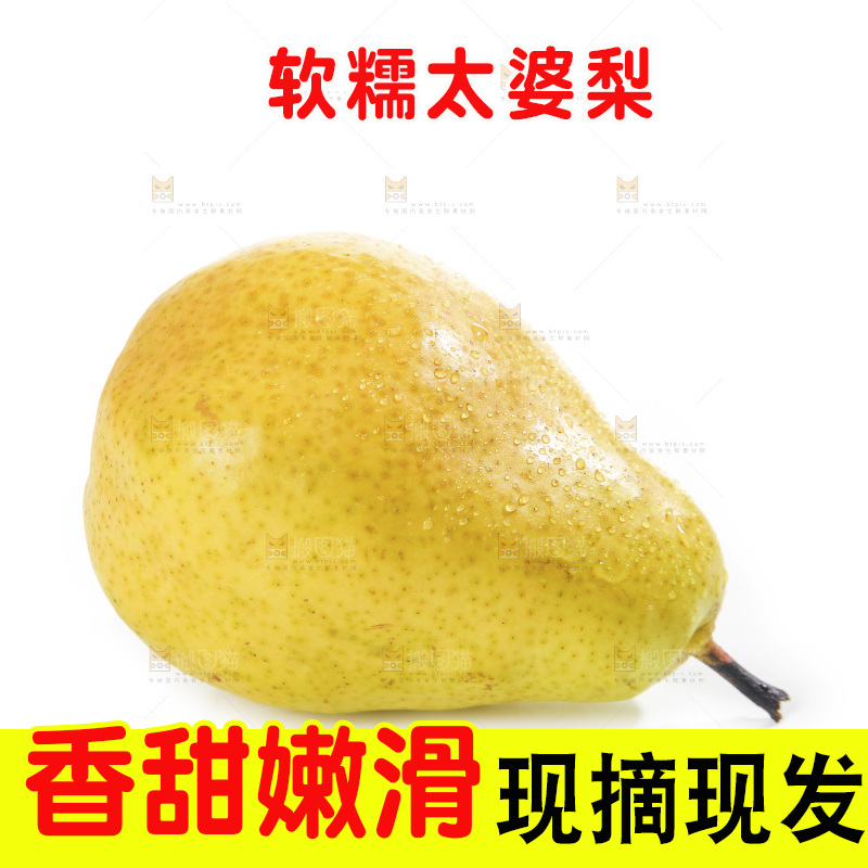 白底上的烟台太婆梨