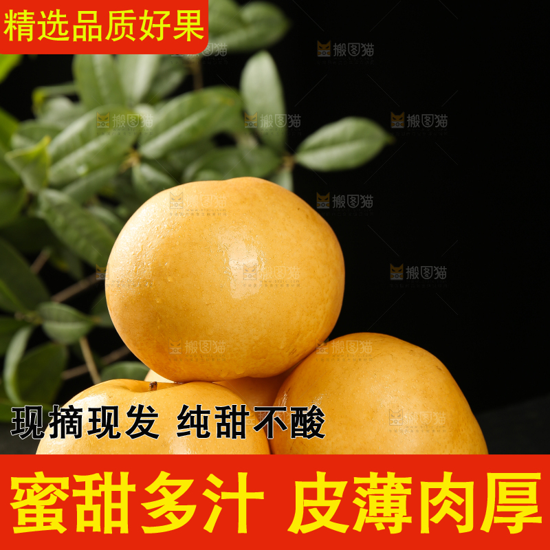黑底上摆放着秋月梨