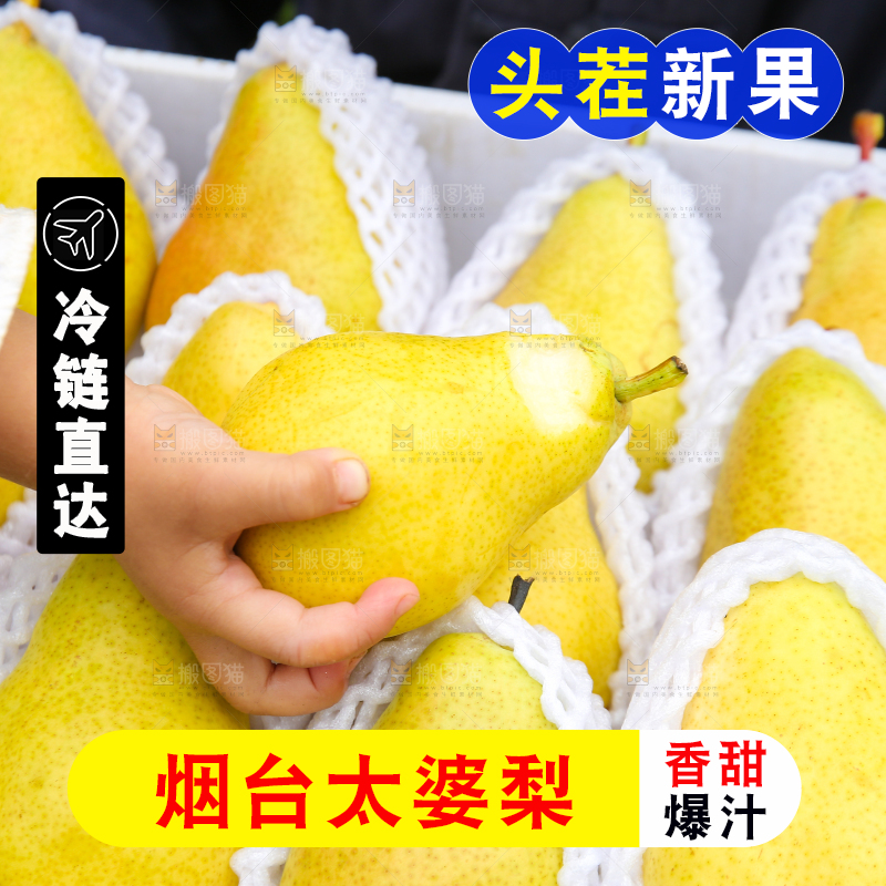 手里拿着烟台太婆梨