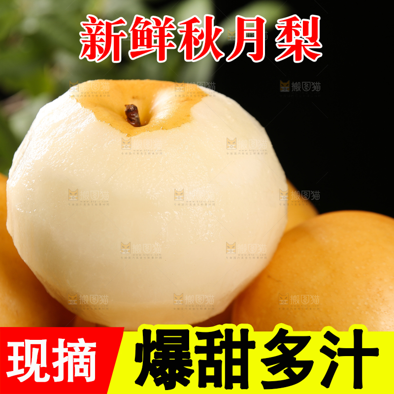 篮子里的莱阳秋月梨