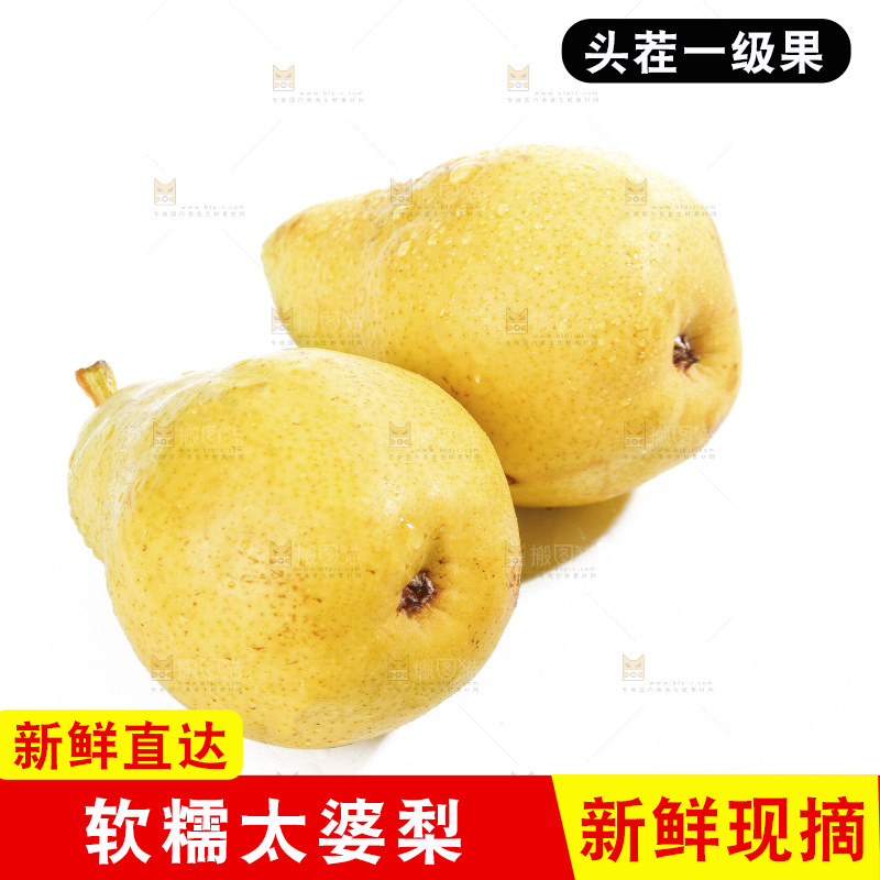 白底上的太婆梨
