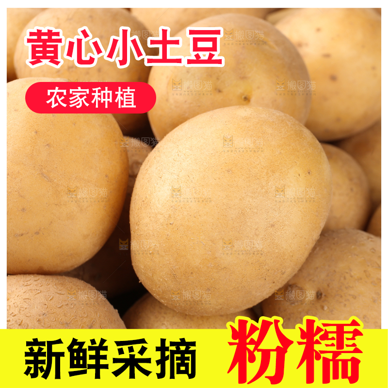 堆放着的黄心小土豆
