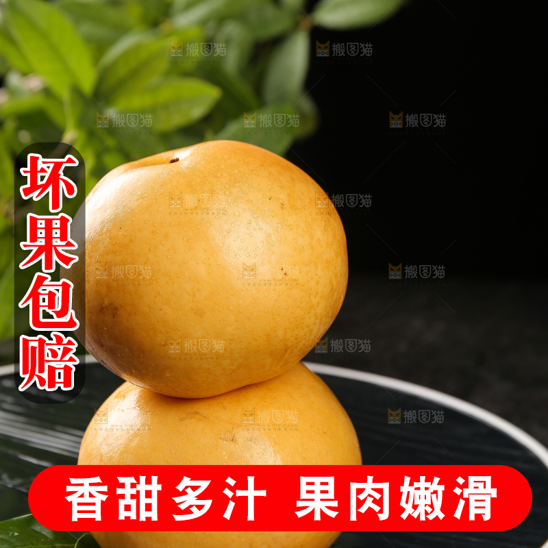 黑底上的新鲜秋月梨