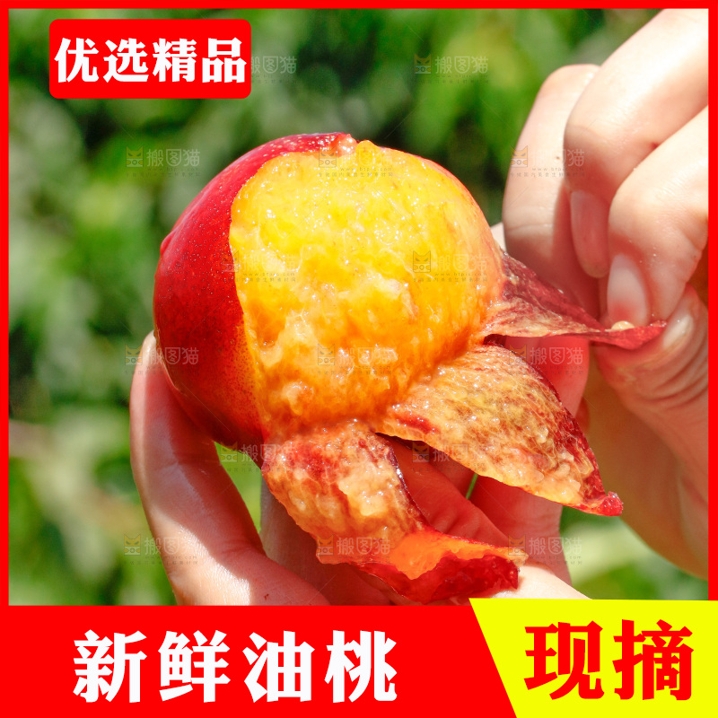 手里剥皮的黄心油桃