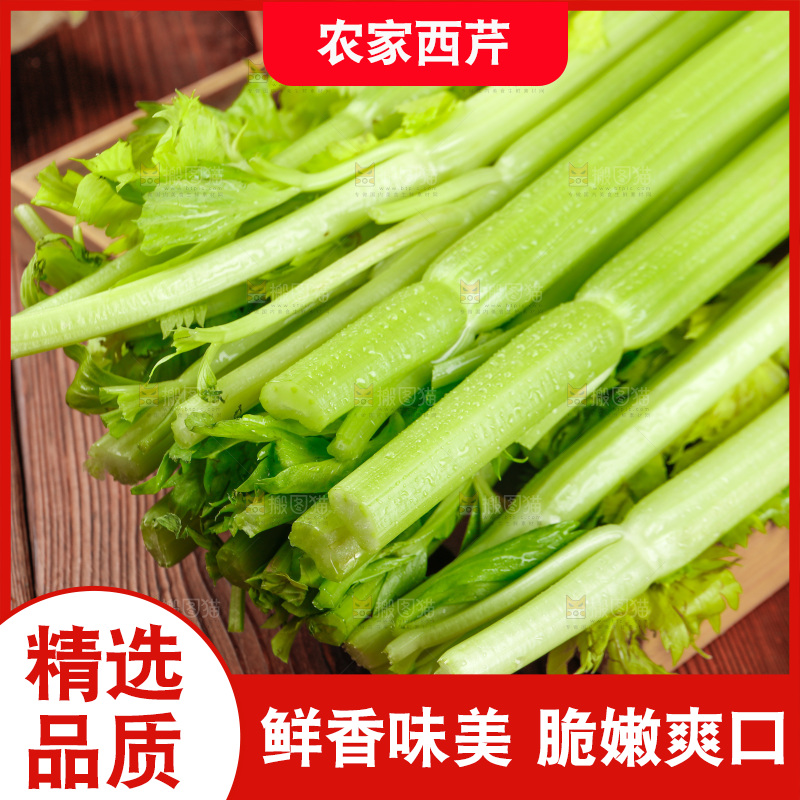 木盘里的山东大西芹