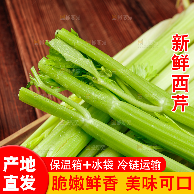 木盘里的山东大西芹