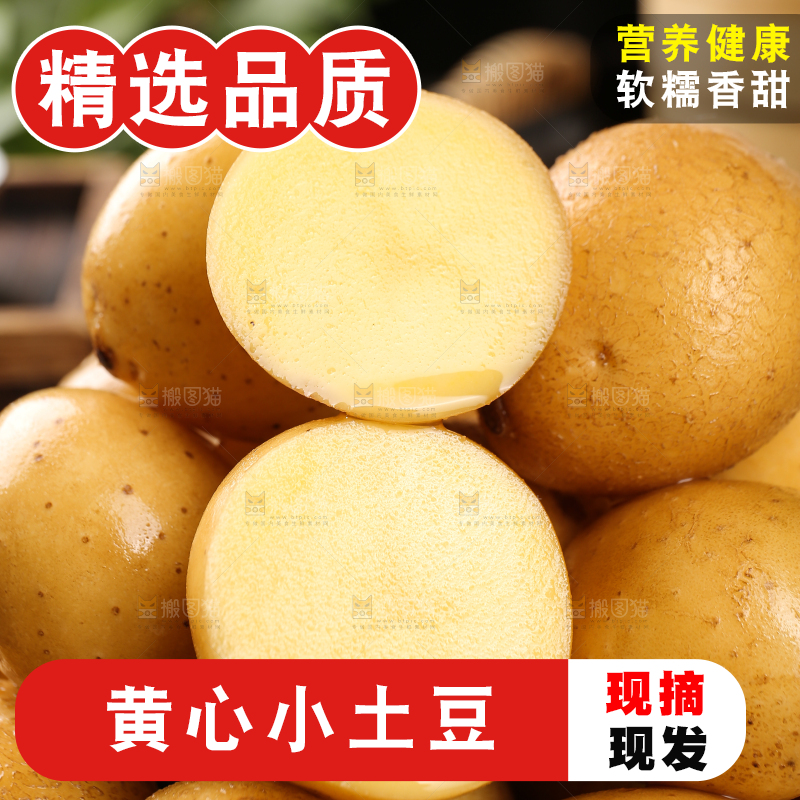 堆放着的黄心小土豆