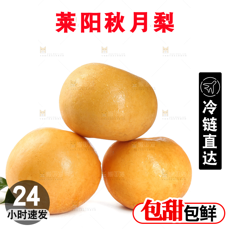 白底上摆放着秋月梨