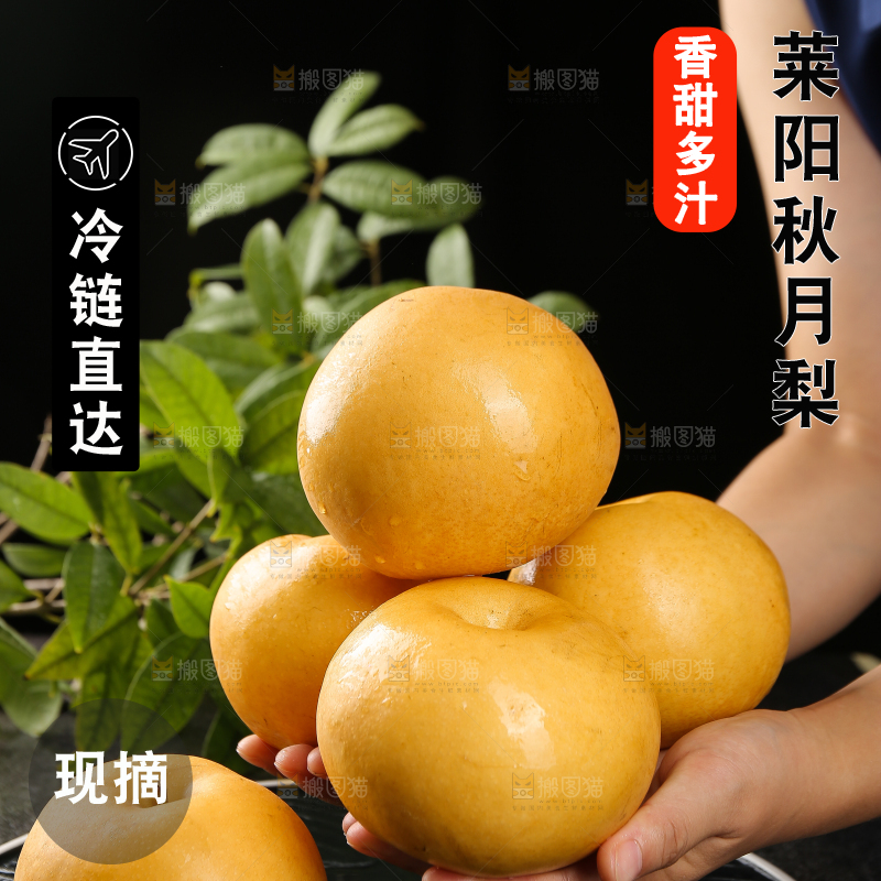 手上放着新鲜秋月梨