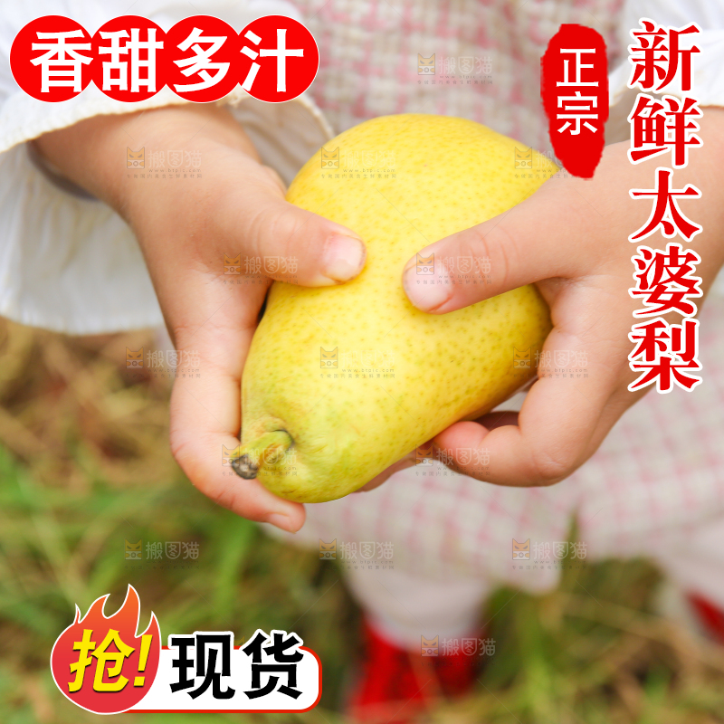 手里拿着烟台太婆梨