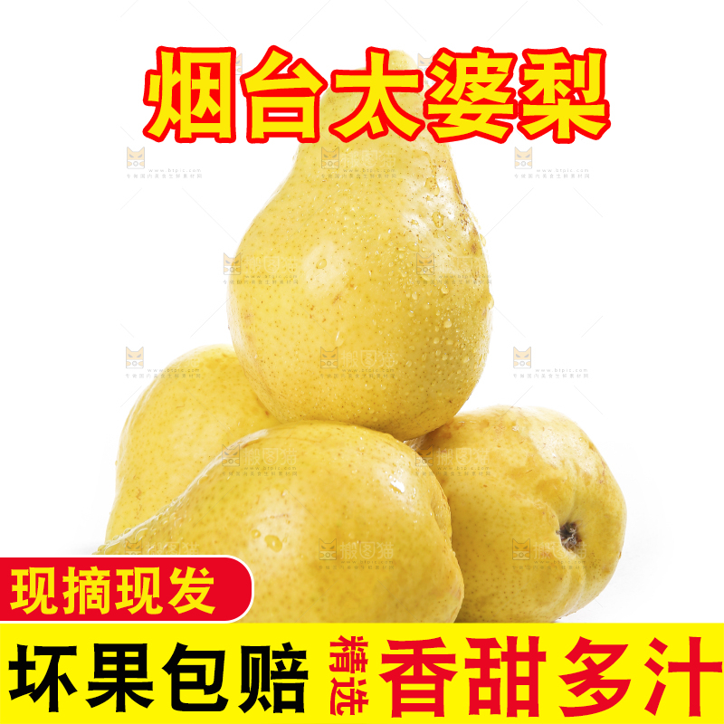 白底上的太婆梨