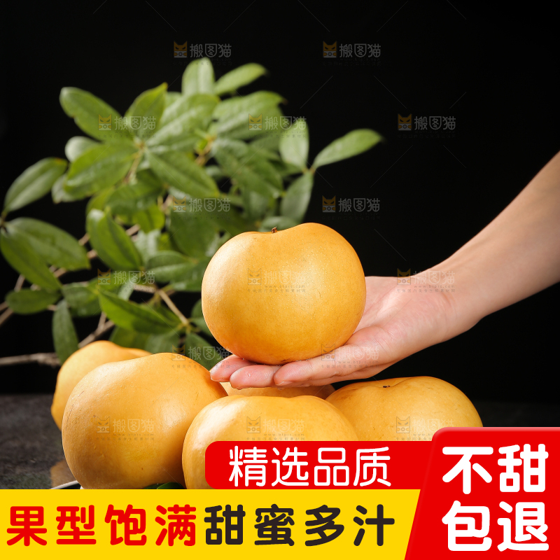 手里拿着新鲜秋月梨