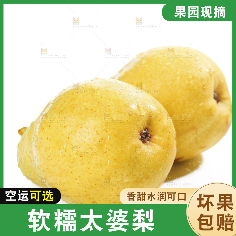 白底上的太婆梨
