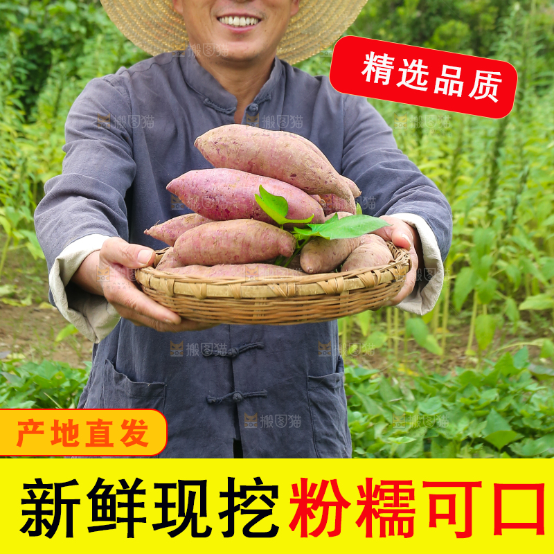 农民手里拿着一篮紫薯