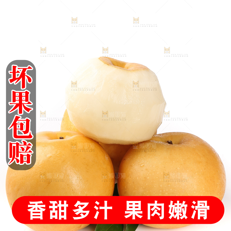 白底上摆放着秋月梨