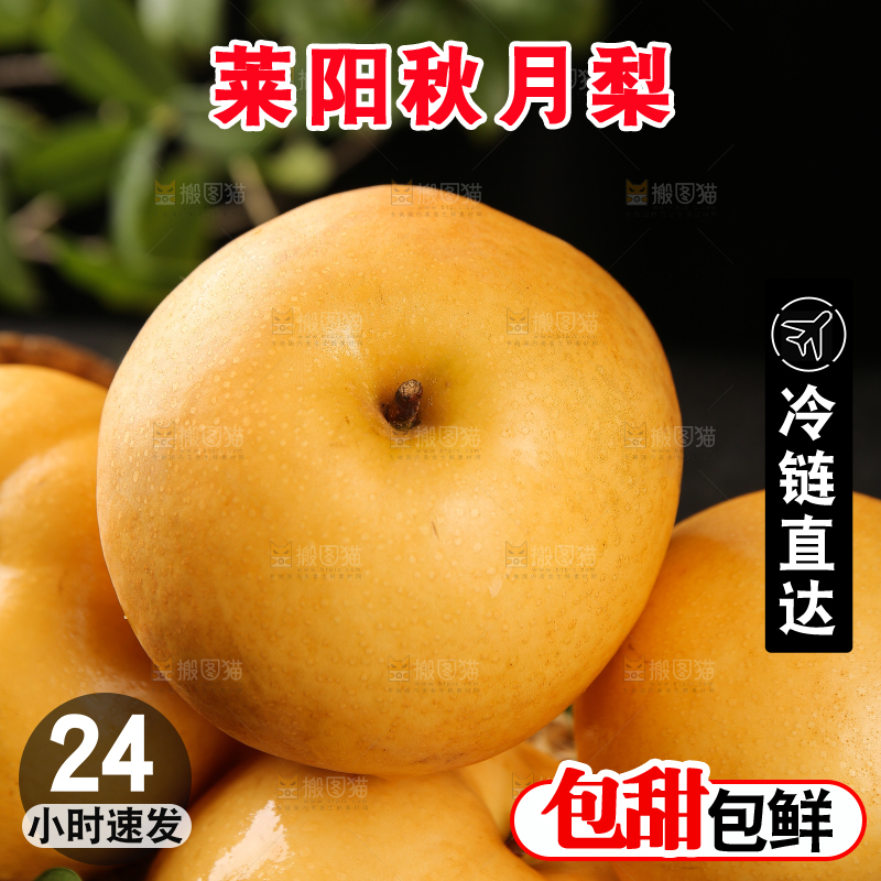 篮子里的莱阳秋月梨