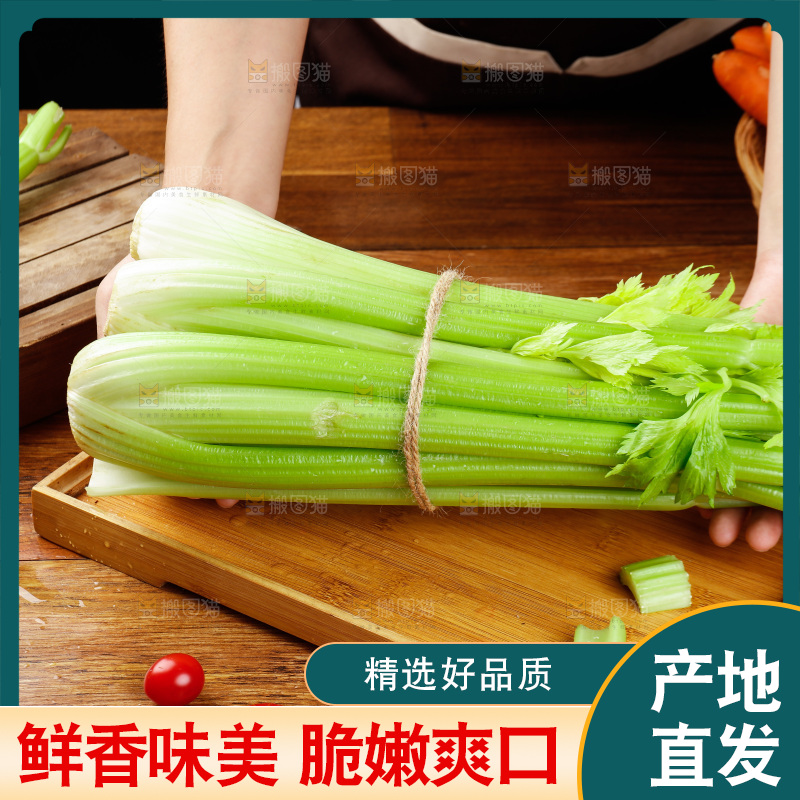 手里拿着一捆山东大西芹