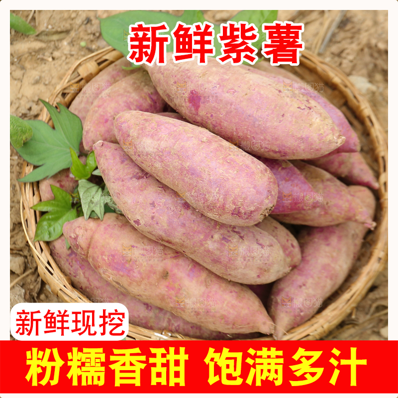 地里放着一篮紫薯